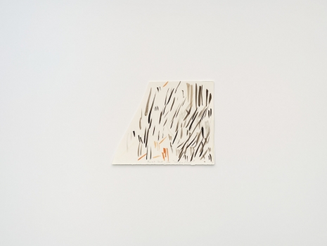 Spencer Finch, Gorgeous Nothing 43, Paint test for 
