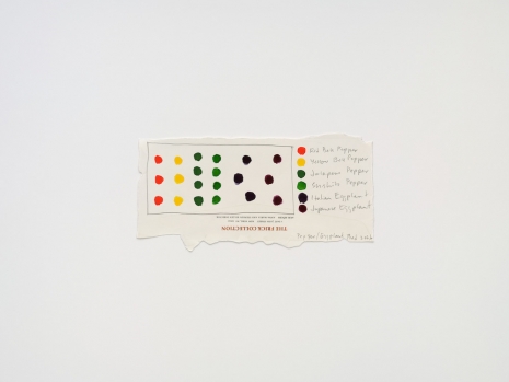 Spencer Finch, Gorgeous Nothing 45, Pepper/Eggplant Bed 2026, 2026 , Lisson Gallery