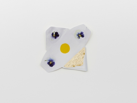 Spencer Finch, Gorgeous Nothing 52, Flower Power, 2026 , Lisson Gallery