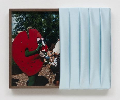 Elad Lassry	, Untitled (Strawberry), 2013, 303 Gallery