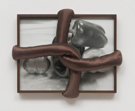 Elad Lassry	, Untitled (Bell Peppers), 2013, 303 Gallery