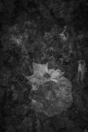 Melik Ohanian, INTERVAL OF VIEWING, Chronograph #CN2470-06, 2025, Galerie Chantal Crousel