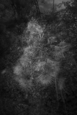 Melik Ohanian,  INTERVAL OF VIEWING, Chronograph #CN2470-10, 2025, Galerie Chantal Crousel