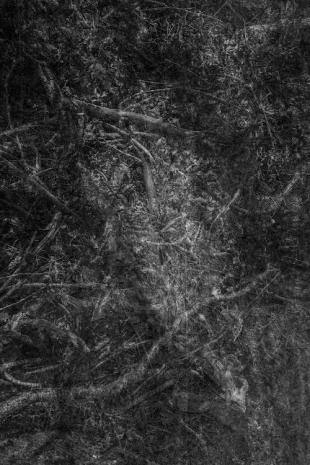 Melik Ohanian, INTERVAL OF VIEWING, Chronograph #LN35R-10, 2025, Galerie Chantal Crousel