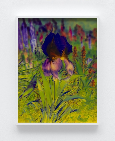 Lisa Oppenheim, Här Steichen Version XIII, 2025 , The Approach