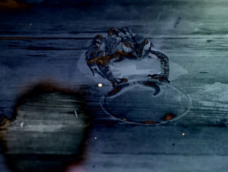 James Richards, Fevers, 2026 , Sylvia Kouvali