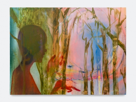 Haley Josephs, Ducks at Dawn, 2025 , Almine Rech