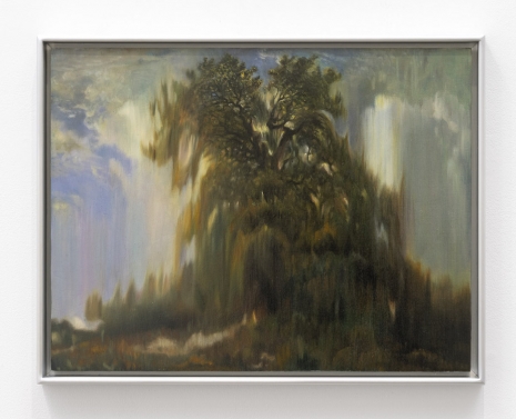 Rachel Rose, The Rest, 12:20pm, 2026 , Gladstone Gallery