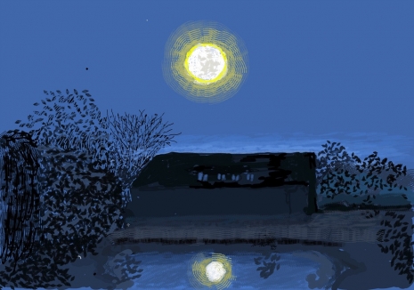 David Hockney, 26th November 2020, No. 2, 2020 , Galerie Lelong