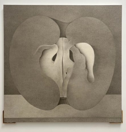 Shao Fan, Fruit, 2024, White Cube