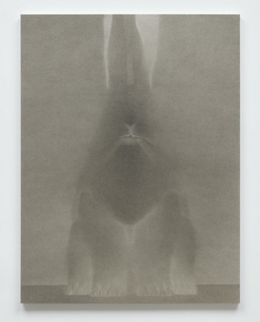 Shao Fan, In The Name of the Rabbit 0322, 2022 , White Cube