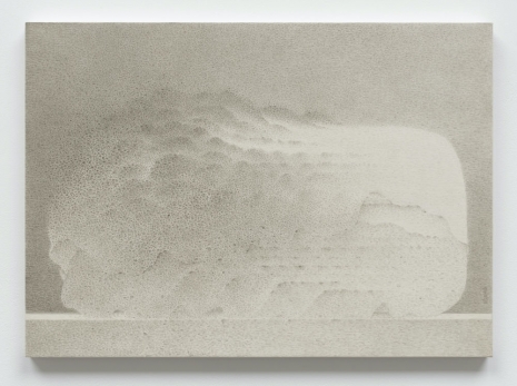 Shao Fan, Chinese Cabbage 1425, 2025 , White Cube