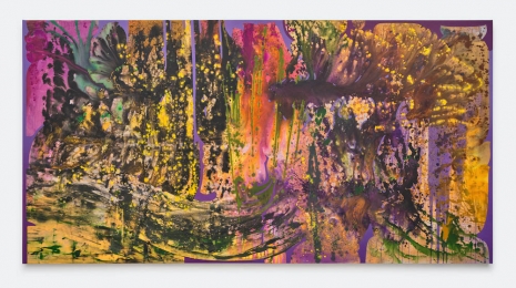 Vian Sora, Tamarisk (Purification), 2025-26 , Bortolami Gallery