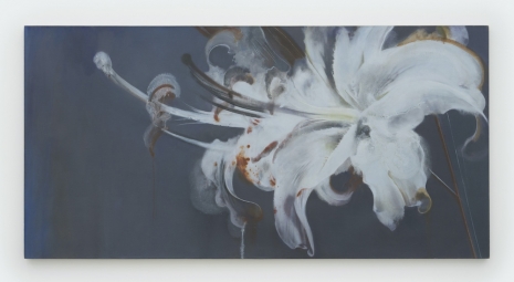 Xie Qi, Daydream, Nightmare, 2025, Perrotin