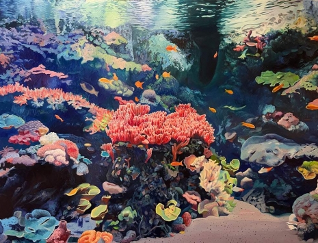 Raphaël Renaud, Aquarium, 2025, Au Cube