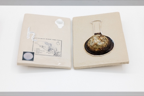 Marte Johnslien, Descend and Dwell, 2023-25, Galleri Riis