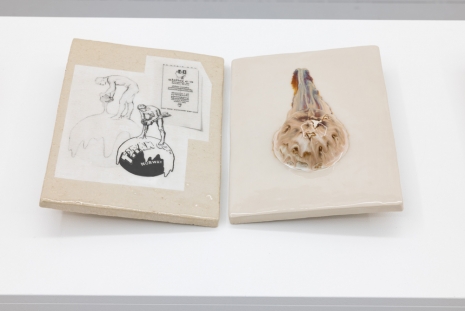 Marte Johnslien, Descend and Dwell, 2023-25, Galleri Riis