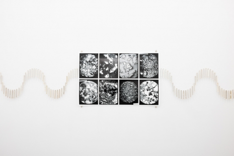 Marte Johnslien, Fotofobia, 2026 , Galleri Riis