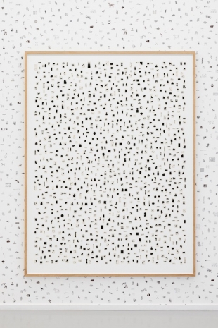 Lisa Tan, The Norwegian Language in the Dictionary, 2025 , Galleri Riis