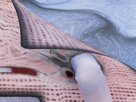 Tishan Hsu, skin-screen: revealed (single 3), 2026, Lisson Gallery