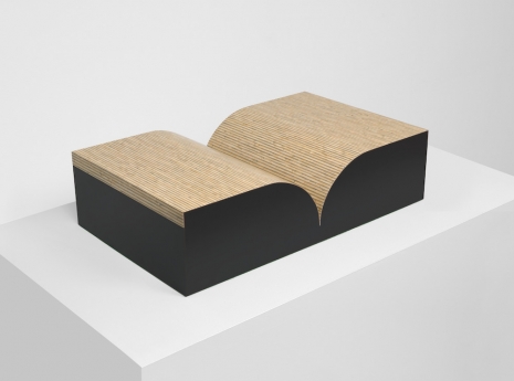 Richard Artschwager, Book, 1987 , Gagosian