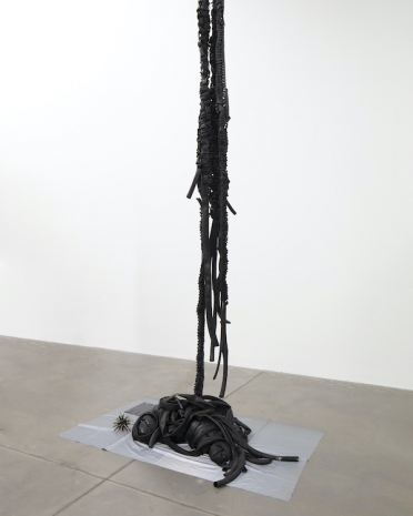 ektor garcia, camara, 2026 , Galerie Nordenhake