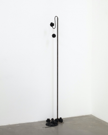 ektor garcia, orquideas y hortensias negras, 2026 , Galerie Nordenhake