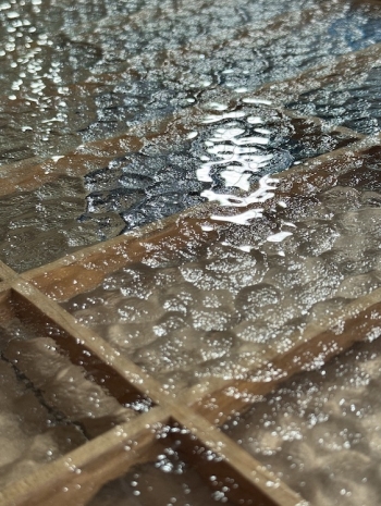 Steph Huang, Grafting, 2026, Perrotin