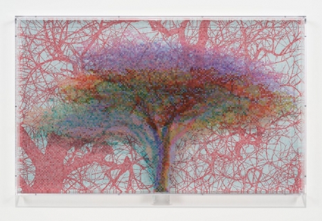 Charles Gaines, Numbers and Trees: Tanzania Series 3, Acacia, Tree #6, Burungi, 2026 , Hauser & Wirth