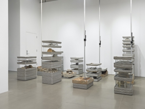 Michael Joo, Concatenations, 1991 / 2026 , Hauser & Wirth