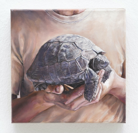 Fabrice Samyn, Hasten slowly, 2026 , Sies + Höke Galerie