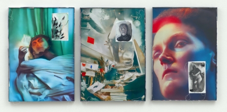 Hedda Roman, Skinner-Boxes, 2025, Sies + Höke Galerie