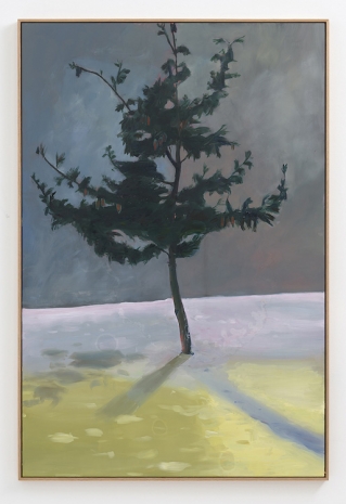Anna Bjerger, Pine, 2026 , Galleri Bo Bjerggaard
