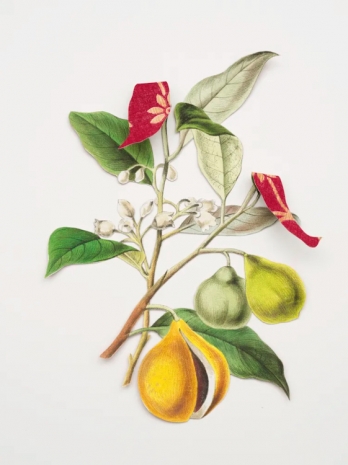 Ishita Chakraborty, , , Galerie Peter Kilchmann