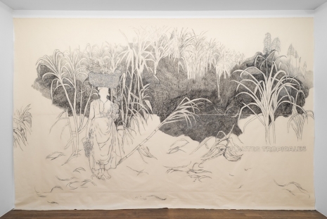 Ishita Chakraborty, Plantes Tropicales, 2026 , Galerie Peter Kilchmann