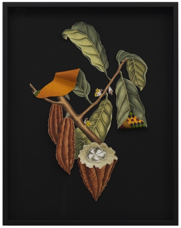 Ishita Chakraborty, Where The Wild Things Roam XXVII, Cacao, 2026 , Galerie Peter Kilchmann