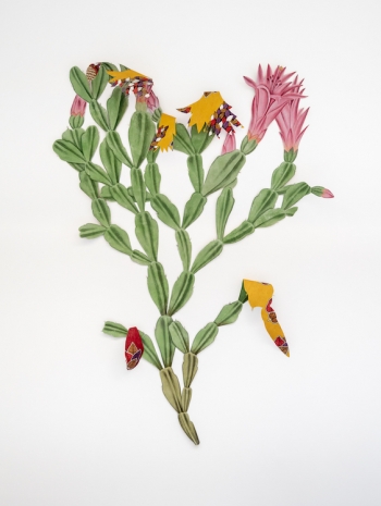 Ishita Chakraborty, Where The Wild Things Roam XXXX, Cactus, 2026 , Galerie Peter Kilchmann