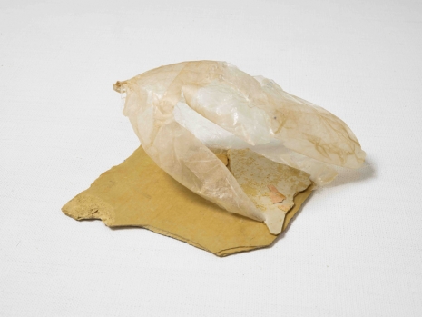 Hinako Miyabayashi, The Head of a Wall, 2026 , Galerie Bernd Kugler