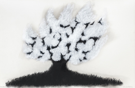 David Nash , Blackthorn, 2025 , Galerie Lelong