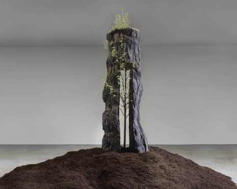 Giuseppe Penone, Un anno di bronzo - Larice, 2024 , Gagosian