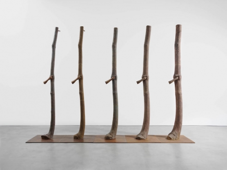Giuseppe Penone, Trattenere 6, 8, 12, 16, 20 anni di crescita, 2004–24 , Gagosian