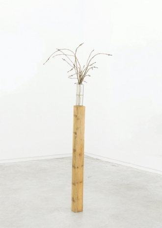 Fernando García , Florero, 2013   , Galería Ehrhardt Flórez