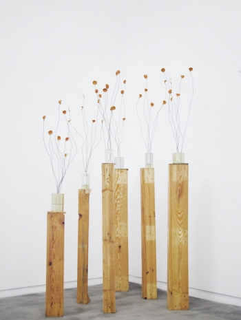 Fernando García, Naranjos, 2014   , Galería Ehrhardt Flórez