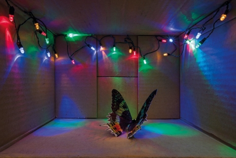 Susanne Kutter, The Lonely Dancer, 2009, MAAB Gallery