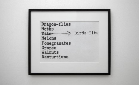 Erica Baum, Untitled (Dragon-flies) (Frick), 1998, Galerie Crèvecoeur