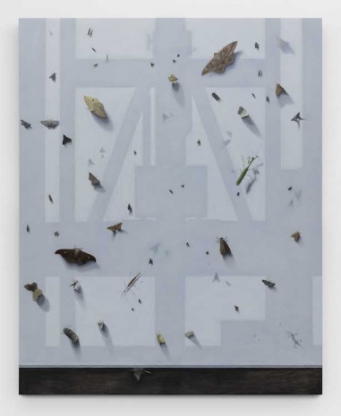 Gonçalo Preto, O Canto do Trovador, 2026, Pedro Cera