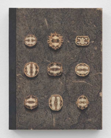 Gonçalo Preto, Bank of Senses I, 2026 , Pedro Cera