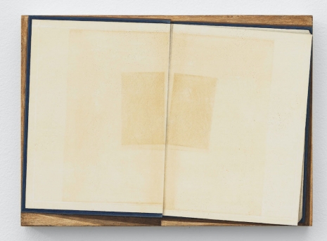 Gonçalo Preto, Bank of Senses II, 2026 , Pedro Cera