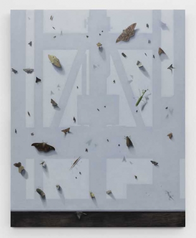 Gonçalo Preto, O Canto do Trovador, 2026 , Pedro Cera