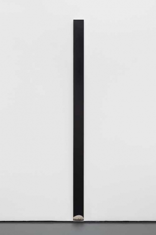 Gonçalo Preto, Rockstar (After V.C.), 2026 , Pedro Cera